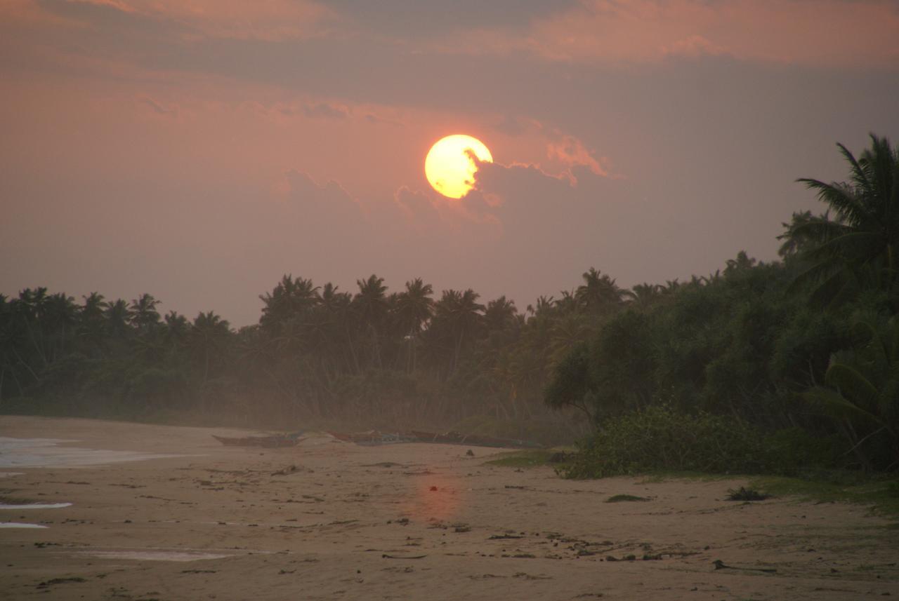 Lanka Beach Grand Villa Rekawa المظهر الخارجي الصورة