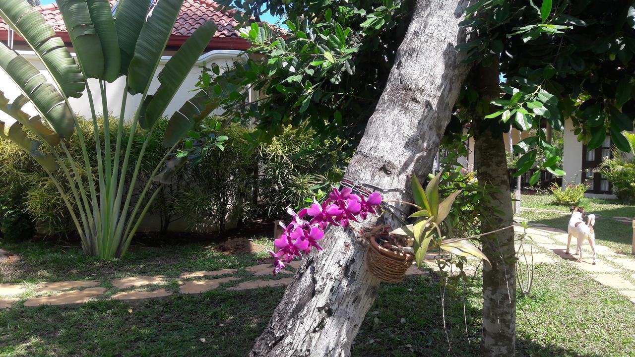 Lanka Beach Grand Villa Rekawa المظهر الخارجي الصورة